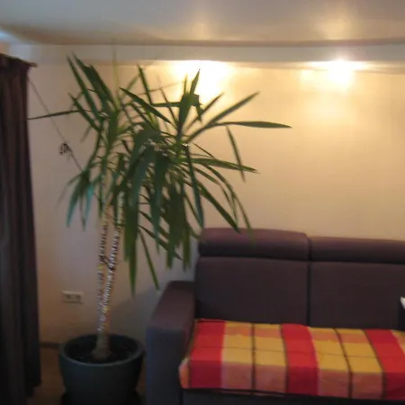 Appartement Dom Mike Tschession rooms in Villa